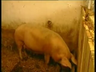 Es lebe das landleben - baeuerin estoy schweinestall gefickt