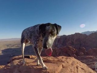 戶外 他媽的, 吸吮 和 抽煙 在 紅 岩 canyon mountains