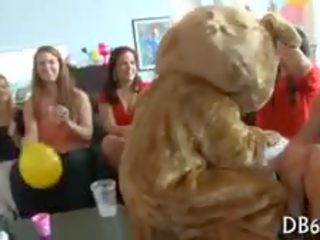 Ебать з teddy ведмідь на вечірка